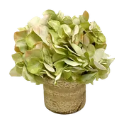 [RESS-AHDLG] Gold Glass Vase Small - Artificial Hydrangea Light Green