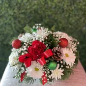 Christmas Joy