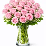 2 Dozen Light Pink Roses