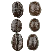 6 Bean Espresso Blend