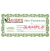 Gift Certificate