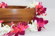 Color Orchid Leis