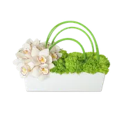 AFS 200-2 White Orchid And Green Moss Modern Floral Arrangement In White Rectangular Planter