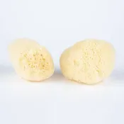 Facial Silk Sponge One Sponge