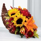 FALL CORNICOPIA