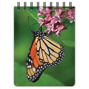 Monarch Butterfly pocket notepad