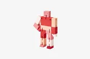 Cubebot Capsule Micro