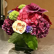 Jewel Tone Delight