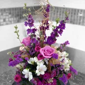 Love Those Purples!