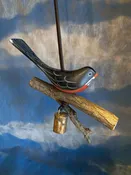 American Robin