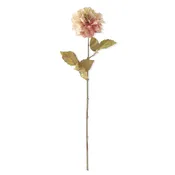 24.5" Coral Dahlia Stem