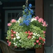 16 Inch Single Tier Imperial Hanging Planter & Liner Set