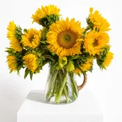 Sunflower Pitcher Design