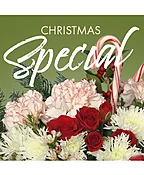 CHRISTMAS SPECIAL