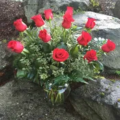 Dozen Red Roses