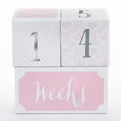 Baby Aspen -Milestone Blocks