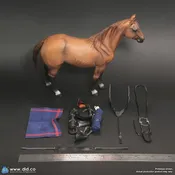 Brown-Red War Horse  DiD 1/6 Scale E60082 for Captain nathan