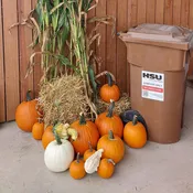 Fall Mini Bale Bundle