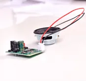 ADD-ON: Hoverboard Bluetooth Module and Speaker