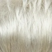 Bay Wig - 2585   Amore Collection