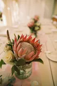 Enchanted - Accent Bud Vase