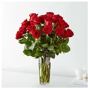 24 Roses arranged in a vase