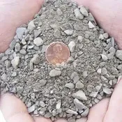 1/4 Minus
