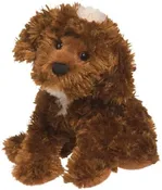 Boxco Chocolate Labradoodle