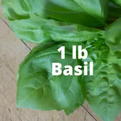 1 lb Bagged Cut Basil — Olivia's Garden