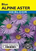 Alpine Blue Aster