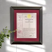 10 Millionth Cover Patent Frame