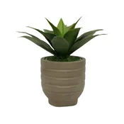 15" Agave in Cement Gray Ceramic