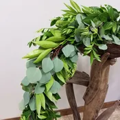 Cocculus, Eucalyptus, & Nagi