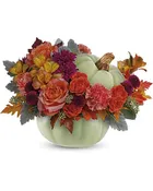 SAGE HARVEST PUMPKIN