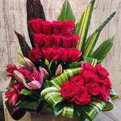 Encanto Design 1
