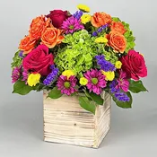 Color Burst