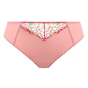 Aerith Brazilian Brief Rose