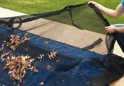 16 ft x 36 ft  Rectangle In Ground Pool Leaf Net - 4 Year Warranty