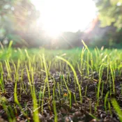 Premium Field &amp;amp; Turf Enhancer