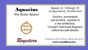 Aquarius Zodiac Product Offerings