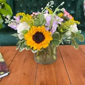 sunflower surprise