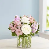Loving Sentiments Pink & White