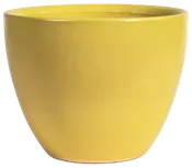 Athen's Pot - Soft Yellow