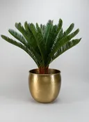 10.75in Wide Devdas Brass Look Aluminum Indoor Garden Pot, Large