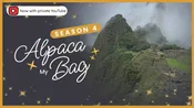 Knit Stars Masterclass Season Four: Alpaca My Bag