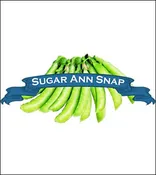 Pea Seed. Organic Sugar Ann Snap. Pkt.