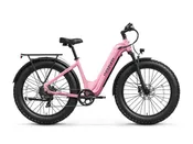 Beagle 2 ST Ebike