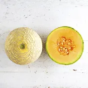 Cantaloupe, Sugar Cube