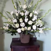 Tribute of White