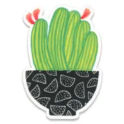 Cactus Bowl Sticker